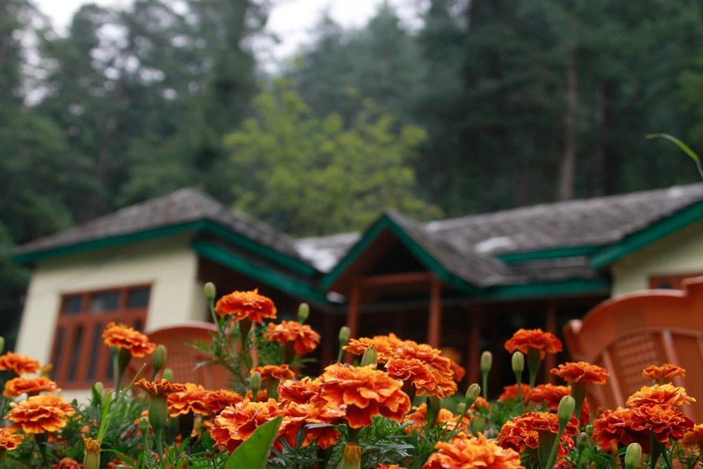 Parvati Kuteer Riverside Resort 카솔 외부 사진